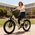 SU7 250W Pedelec Electric City Commuter Bike Rear Hub Motor 36V 13Ah Battery EU Warehouse Pedal Assist Adult E-Bike