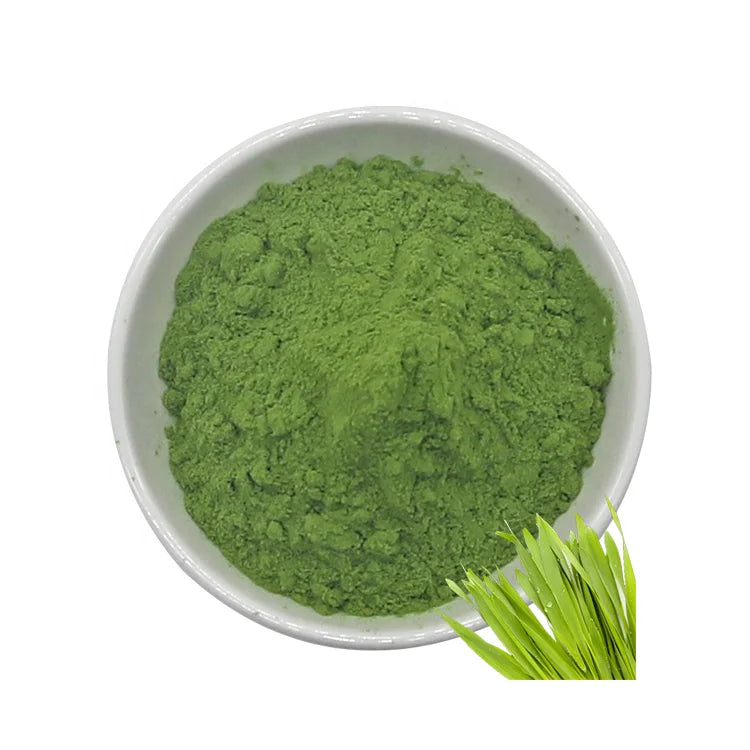 Manufacturer Supply: Bulk High-Quality Barley Grass Powder for Green Health Care