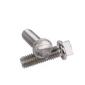 M6 M14 Custom Triangular Head Anti-theft Screws Special Shaped Bolts Screw and Nuts Nail Manufacturer SUS304
