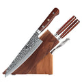 5PCS Professional High Carbon Damascus Steel Knives Set with Wooden Block Kitchen Chef Knife Rosewood Handle