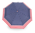 American Flag Umbrella Customized logo Picture Umbrella Automatic 3 Fold Umbrella Windproof