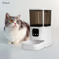 Smart Dog Cat Automatic Pet Feeder Eco-Friendly 6L Plastic Bowls Interactive Food Dispenser Voice Recorder Wifi Camera