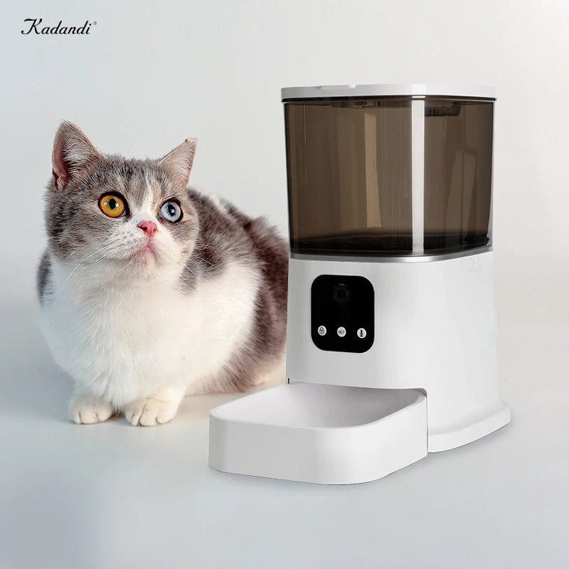 Smart Dog Cat Automatic Pet Feeder Eco-Friendly 6L Plastic Bowls Interactive Food Dispenser Voice Recorder Wifi Camera