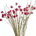 Dried Flowers Wooden Flowers Happy Fruits for Home Decoration