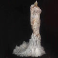 LONG SLEEVE FEATHER GROGEOUS FANCY DIAMONDS MAXI DRESS Singer Stage Show Feather Dresses