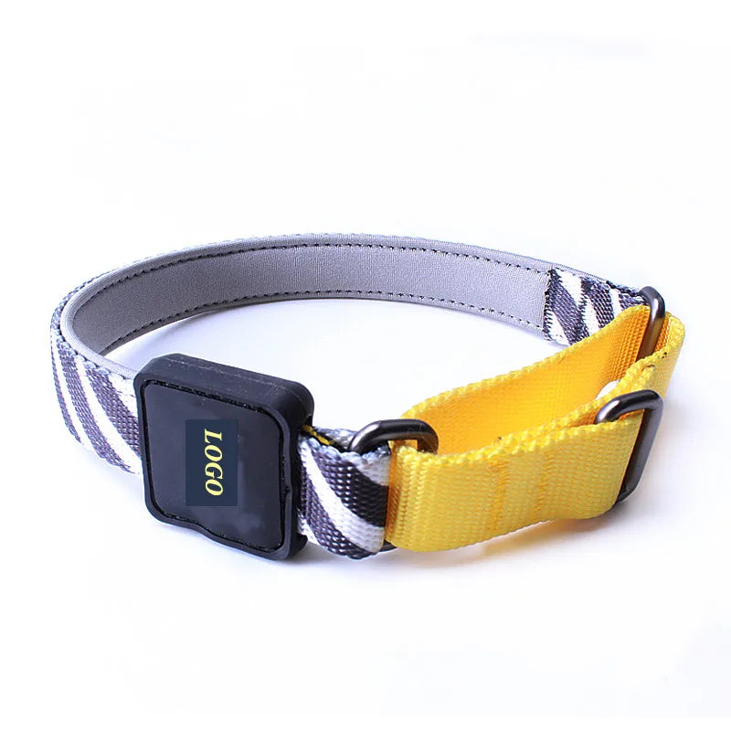 Luxury Custom Nylon Polyester and Neoprene Dog Collar with Breakaway Feature Martingale Style