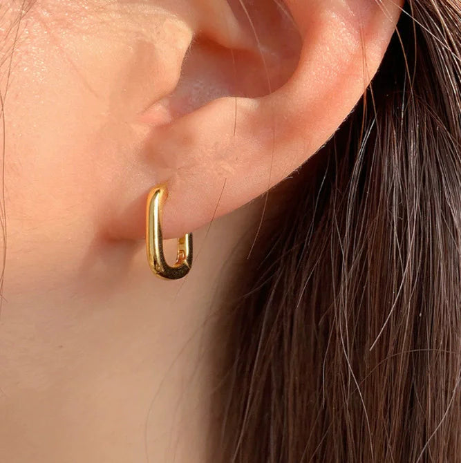 Geometric Earrings 18K Golden Plated Zinc Alloy Simple and  Fashionable Perfect for Daily Wear and Gifting N209063