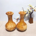 Indoor and Outdoor Decoration  Bonsai Flowers Herbs - Handcrafted 100%  Decorative Vases