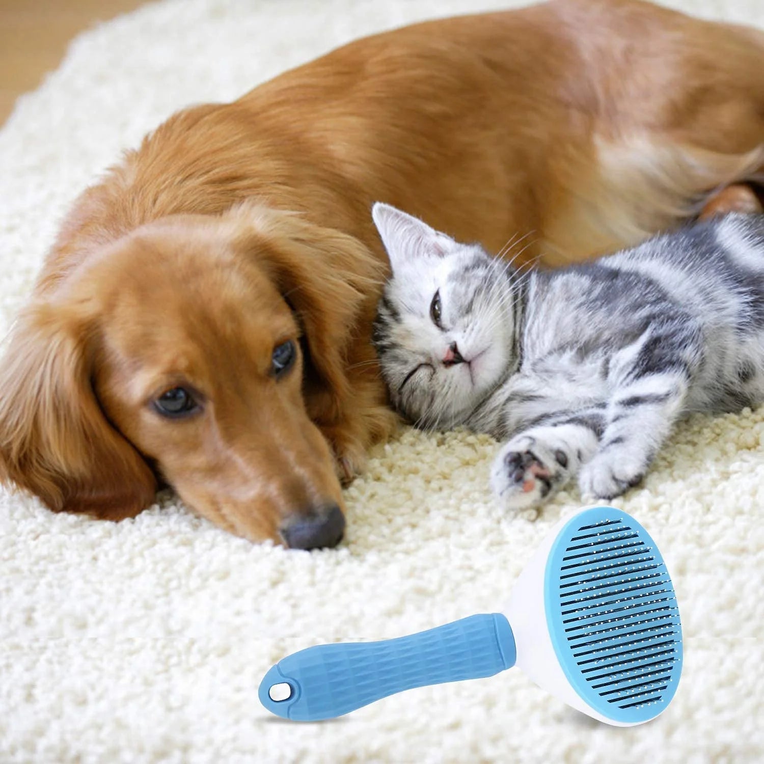 Wholesale One-Click Automatic Hair Removal Comb for Cats and Dogs Styling Pet Grooming Brush Beauty Cat Comb Brush