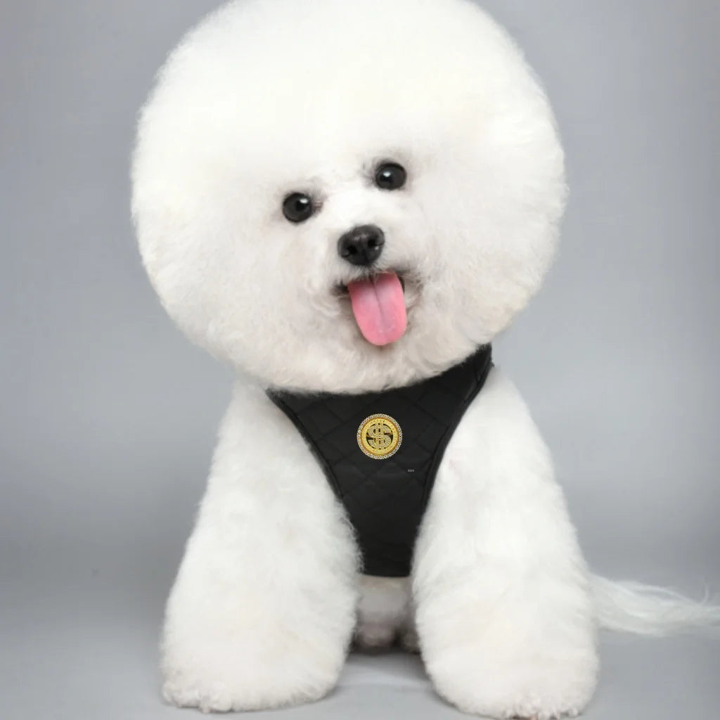 Custom Classic Winter Soft PU Leather Dog Harness Leash Set Personalized Step-in Dog Harness with Lace Decoration Pet Supplies