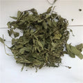 Newly Harvested Mint Leaves Dried Herbs and Dried Peppermint Tea