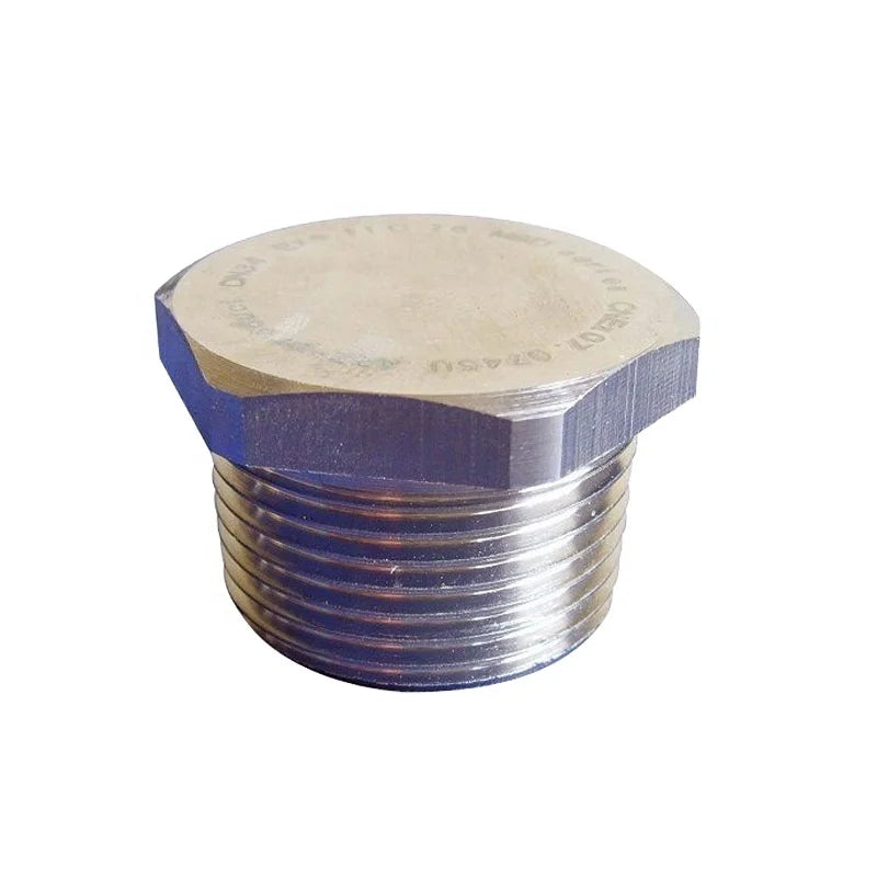 Stainless Steel High Pressure Forged Pipe Fittings NPT/BSPT Male Thread Hex Plugs