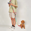 Reflective Striped Nylon Dog Leashes with Chain Traction Rope for Running Free Hands for Small & Large Dogs