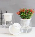 Creative Resin Succulent Plant Pot Lazy Automatic Water-absorbing Planter Transparent Plastic Hydroponic Flowerpot