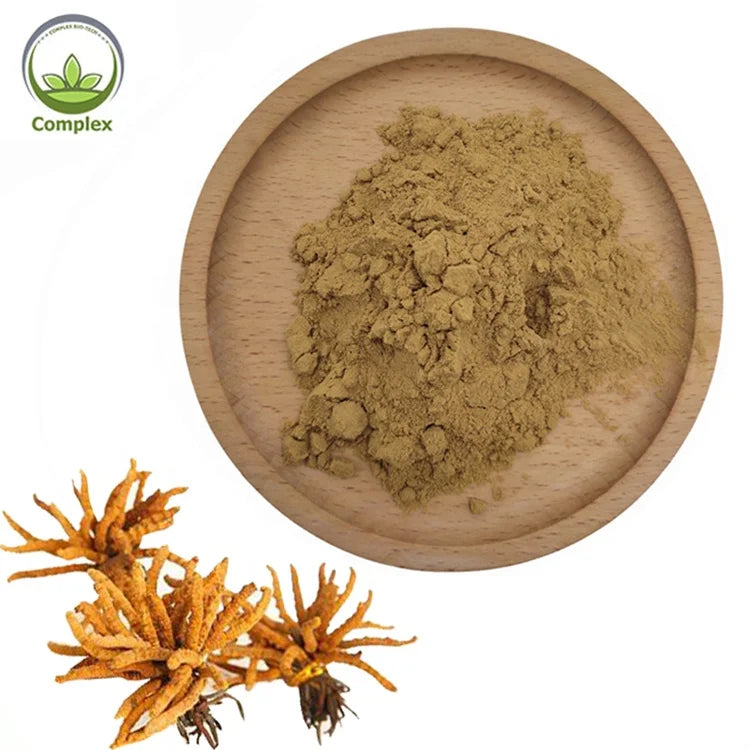 Best Selling Products Natural Organic Cordyceps Sinensis Extract Powder