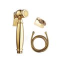Modern Gold Brass Handheld Bidet Sprayer Set for Toilet Hot and Cold Water Easy Cleaning for Hotels and Travel