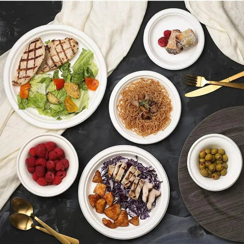 Disposable Plates Paper 100% Biodegradable Sugarcane Bagasse Plates Compostable Paper Plates 10 Inch With Natural Fibers