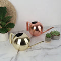 1000ML Capacity Plant Watering Can With Long Handle for Gardening Patio Office Plant Modern Style Stainless Steel Watering Can