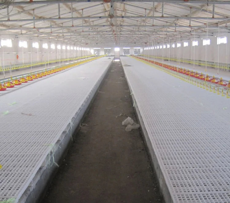 New Chicken Farm House with White Plastic Slat Floor PP Material