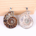 Handmade Women's Jewelry Pendant Gift Natural Ammonite Specimens with Silver Wrapped Edge for Necklace