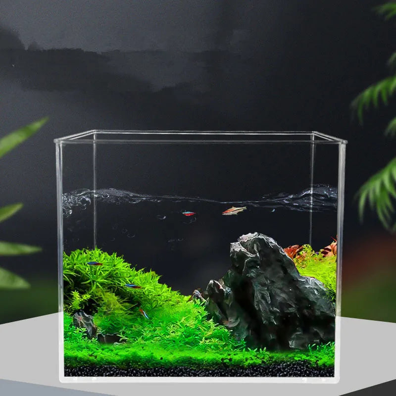 Sustainable Beta Fish Aquarium Plastic Aquarium for Betta Fish