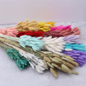 Dyed Rabbit Tail Flowers 50pcs/Bunch Preserved Pampas Artificial Flowers for Christmas and Mother's Day Decoration Dyed Colors