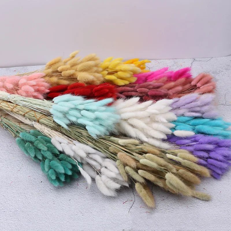 Dyed Rabbit Tail Flowers 50pcs/Bunch Preserved Pampas Artificial Flowers for Christmas and Mother's Day Decoration Dyed Colors