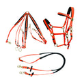 China Factory Manufacturer's Durable Western Horse Equipment Set Equestrian Endurance Including Red Blue Girth Headstall
