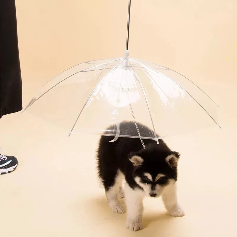 LOTUS Cheap High Quality Transparent Waterproof Pet Dog Portable Rain Umbrella with Leash