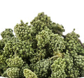 Native Tienchi Flower Tea Raw Green Whole Pseudo-ginseng Flowers Buds for Sale