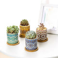 China Factory Wholesale Ceramic Flower Pots Flower Pots & Planters