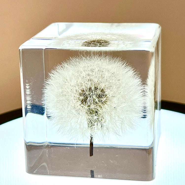 Factory Wholesale Resin Crafts Epoxy Crystal clear Real Dandelion Paperweight  Resin Flower Paperweight
