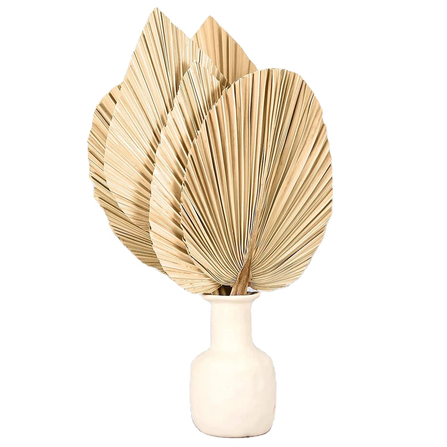 Ins Bohemian Tropical Home Decoration Heart-shaped Round Dried Plant Wall Hanging Wedding Party Decoration Dried Palm Leaves