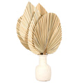 Ins Bohemian Tropical Home Decoration Heart-shaped Round Dried Plant Wall Hanging Wedding Party Decoration Dried Palm Leaves