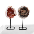 Wholesale Natural Crystal Crafts Healing Stones Wood fossil Stone for Fengshui Decoration