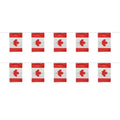 14*21cm World Flags String Banner - America Germany Canada Mexico Country Flag Bunting for Festival Party Decor