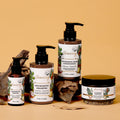 Oem Sulfate Free Argan Oil Rosemary Custom Private Label 100% Natural Organic Shampoo Anti Hair Loss Hair Growth Hair Care Sets