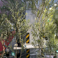 A4431 Artificial Tree Greenery Multi-species 1.2/1.5/1.8 Fruit Tree Artificial Wedding Decoration Hotel Garden Decoration