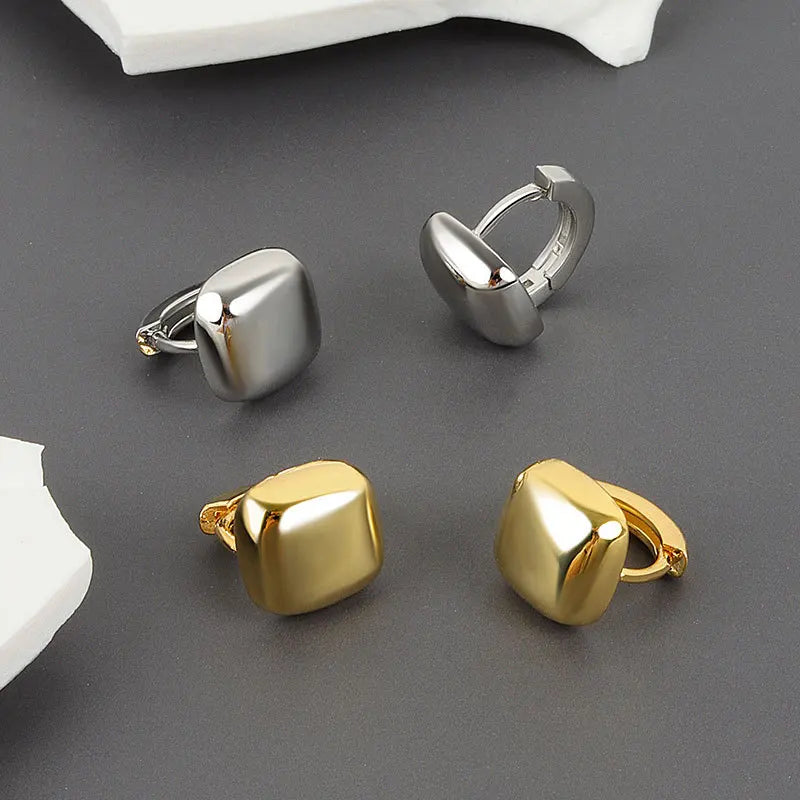 Minimalist Hypoallergenic Retro Geometric Oval Hoop Circle Earring for Men Women Punk Statement Huggies Hoop Earrings Ear Buckle