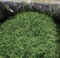 Qing Hai Tai 1kg Dried Health Sea Food Parae Aonori Green Laver Flakes Dried Sea Cabbage
