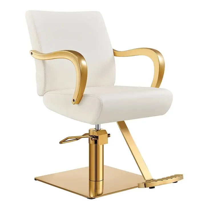 White Hairdressing Hair Furniture Beauty Cutting Styling Salon Barbershop Chair Hair Salon Chairs