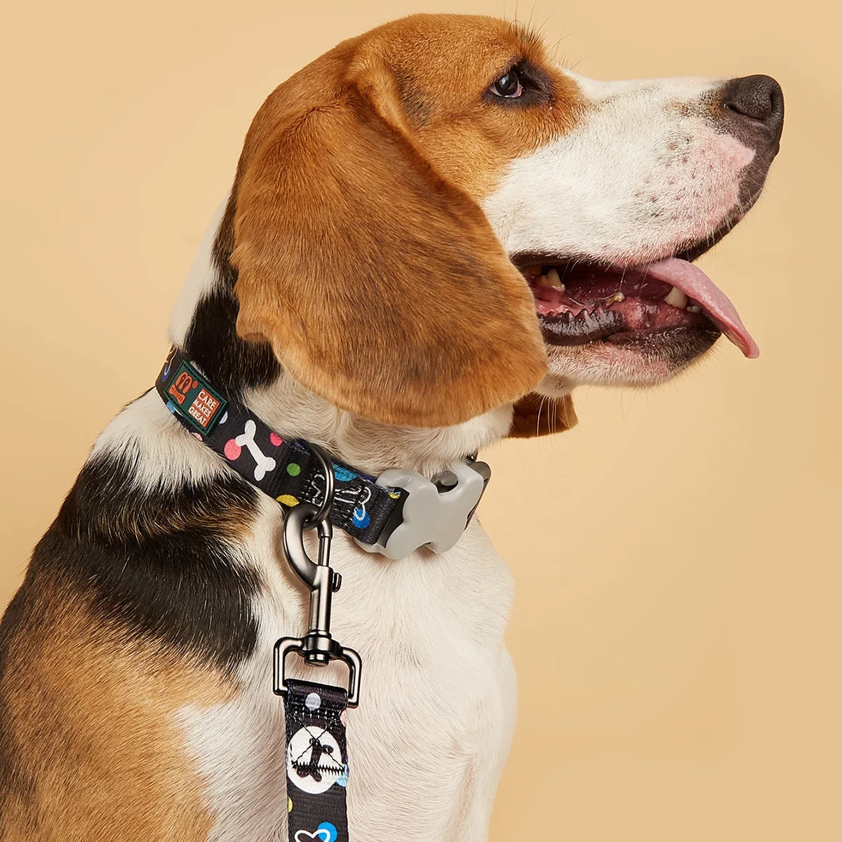MIDEPET New Arrival Designer Paw Bone Printed Pet Product Puppy Dog Nylon Leads Neck Collar Leash Set Padded Made Polyester