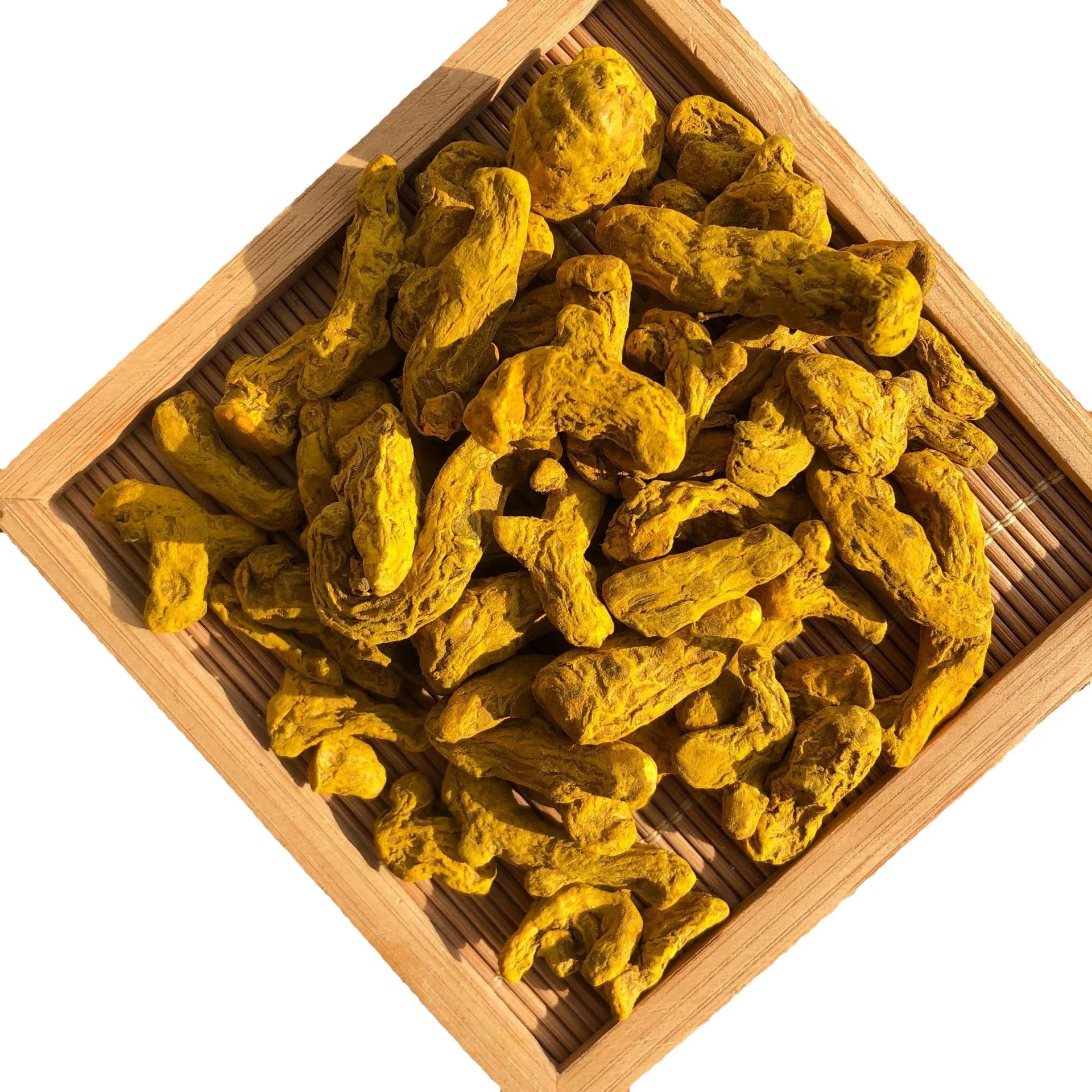 Top Grade Dried Whole Curcuma aromatica Roots for Herbs