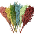 Yunnan Spring Supply Preserved Flowers Melaleuca Bracteata for Decorative Flowers