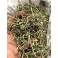 Grass Herb Natural Wild Dried Chinese Foldwing Whole Plants Slices for Herbs