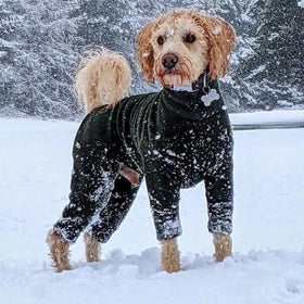 Ropa Clothes Wholesale Hunde Chien Fleece Polartec 4 Legs Jumper Suits Luxury Designer Fashion Warm Winter Dog Clothes