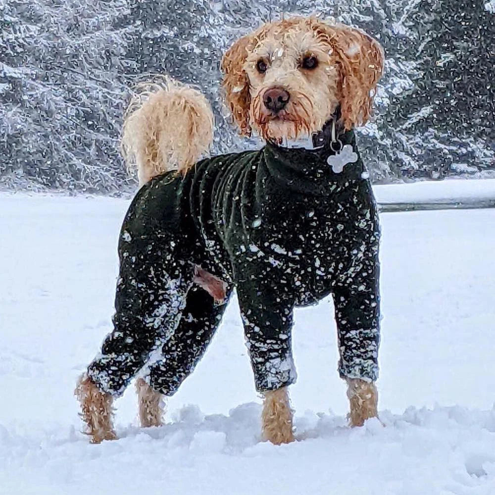 Ropa Clothes Wholesale Hunde Chien Fleece Polartec 4 Legs Jumper Suits Luxury Designer Fashion Warm Winter Dog Clothes