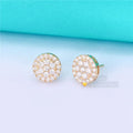 Stock 2.02g Luxury Earrings D/VVS Moissanite Diamond 10K/14K Solid Gold Stud Earrings