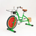 EXI New Machine Bicycle Pedal Power Generator Bike Adult Fixed Gear Bike Mobile Phone Charging Unicycle Bike Aluminum Alloy Easy