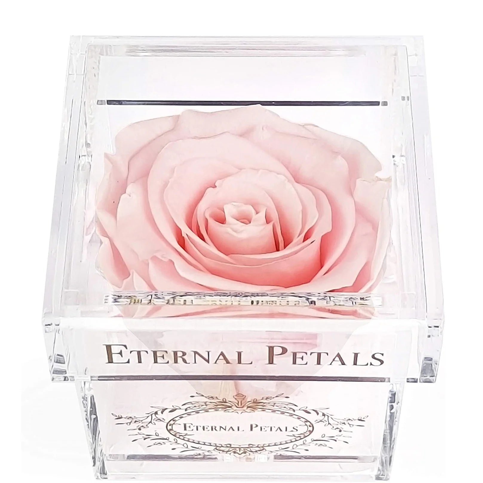 Transparent Plastic Acrylic Preserved Singe Flower Rose Box Lucite Rose Gift Box